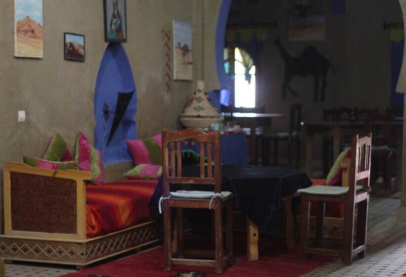 Riad Aicha & Camel Trekking