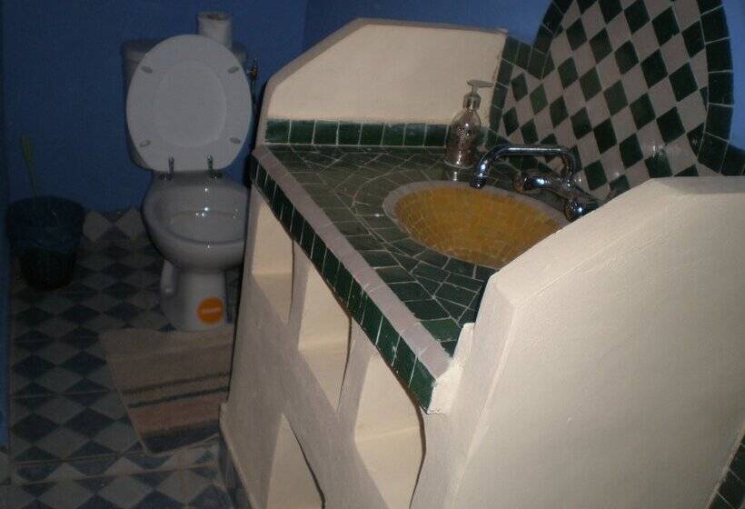 Riad Aicha & Camel Trekking