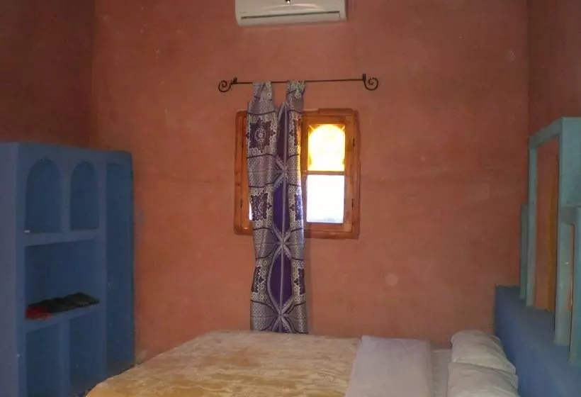 Riad Aicha & Camel Trekking