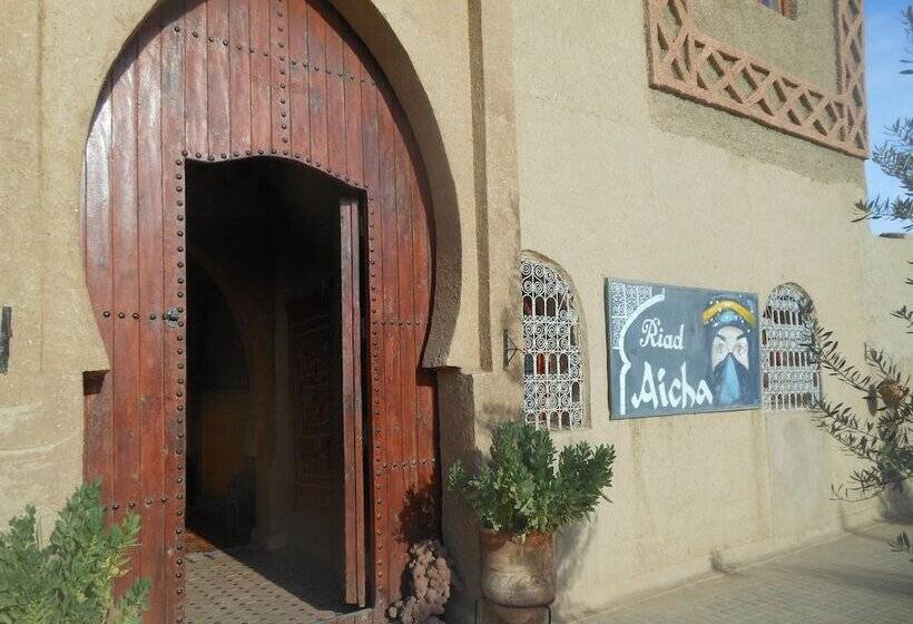Riad Aicha & Camel Trekking