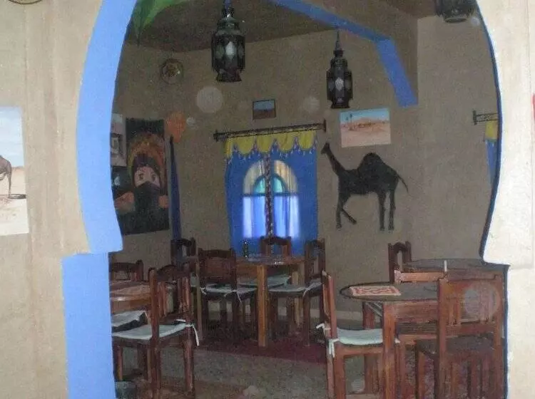 Riad Aicha & Camel Trekking