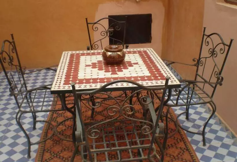 Riad Aicha & Camel Trekking