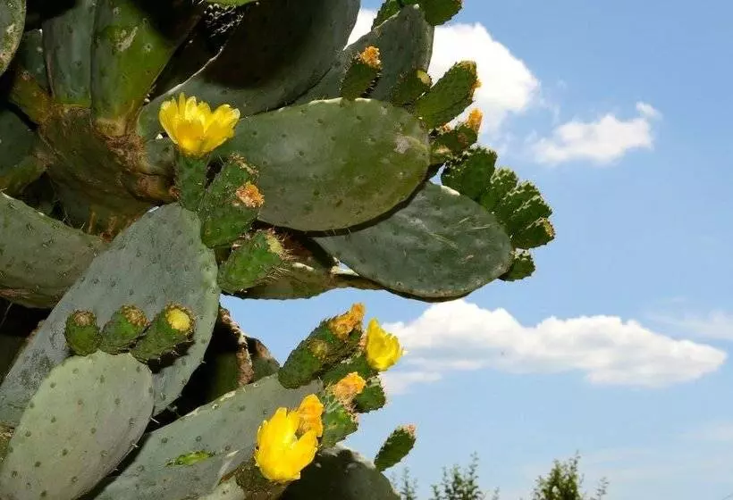 Toccacielo Hotel Village