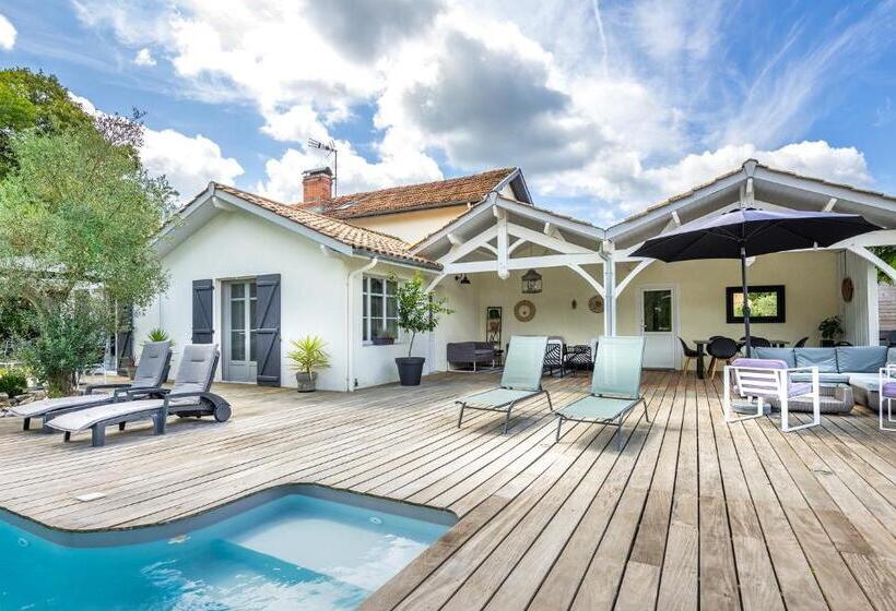 住宿加早餐  Le Gite De La Canopée De Mios