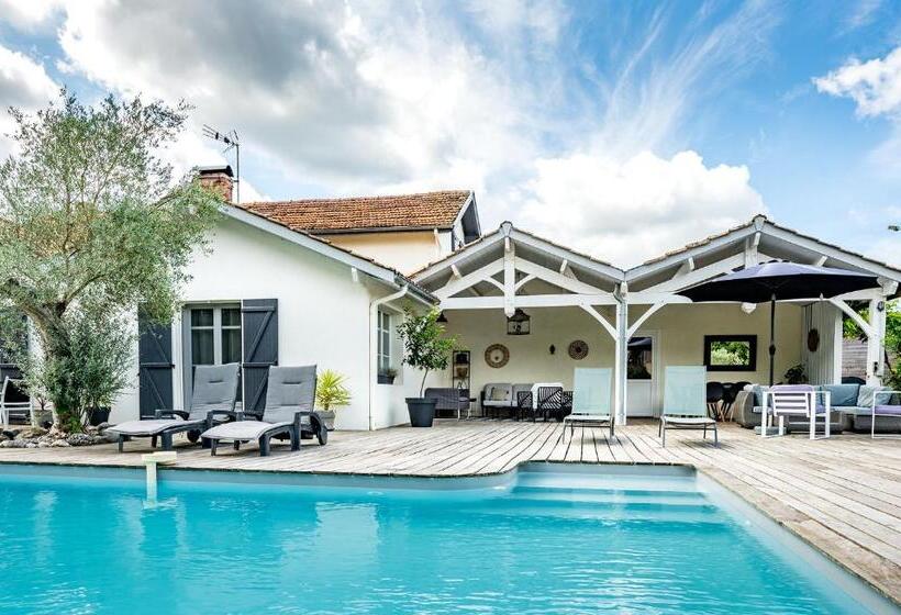 住宿加早餐  Le Gite De La Canopée De Mios