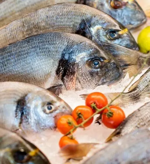 Hotelli Maritim Marina Bay Resort & Casino