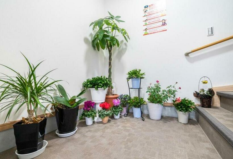 بنسيون Travel Palace Miyuki  / Vacation Stay 5737