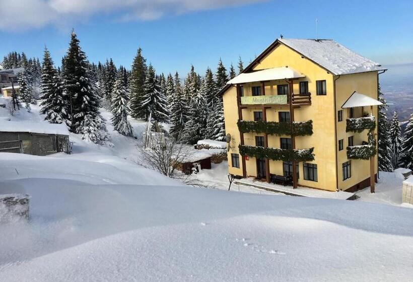 Hotel Muntele Mic