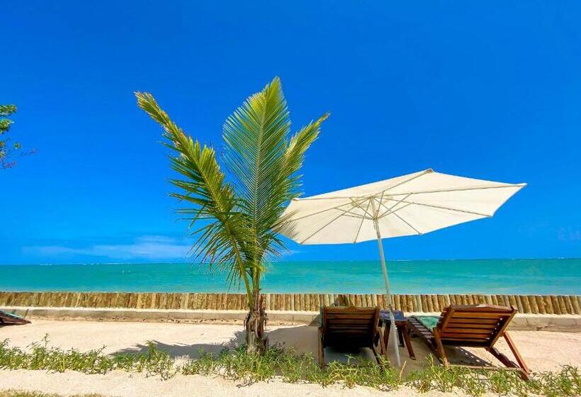 هاستل Pousada Villa Tatuamunha