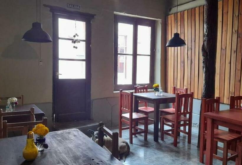 צימר Cerro Negro