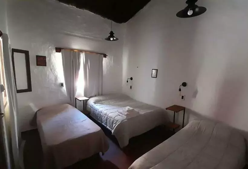 تختخواب و صبحانه Cerro Negro