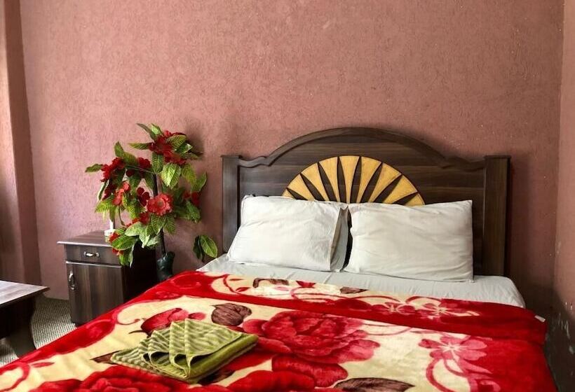 هتل Capital Lodge Gilgit