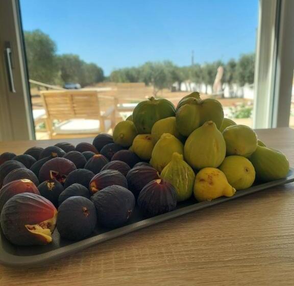 B&b Foglie D’ulivo