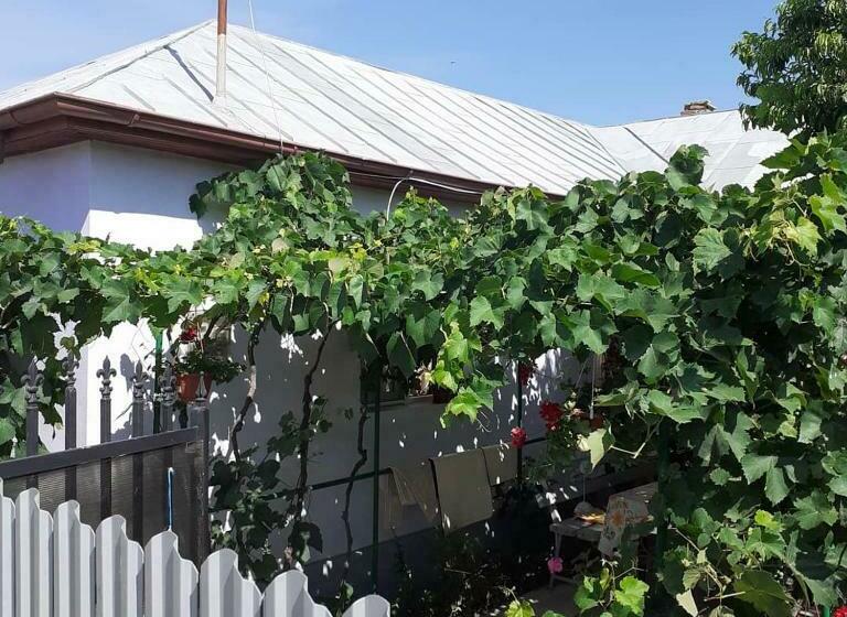 Пансион Casa La Catalin