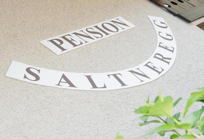 ホテル Garni Saltneregg