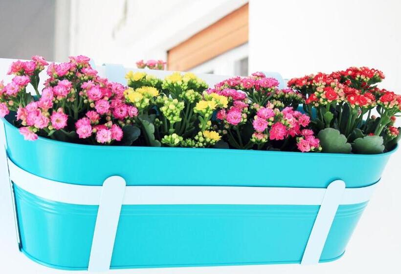 پانسیون Baris Suite Station