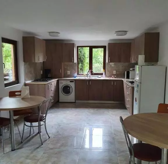 پانسیون Daiana Residence Cabane