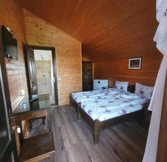 Пансион Daiana Residence Cabane