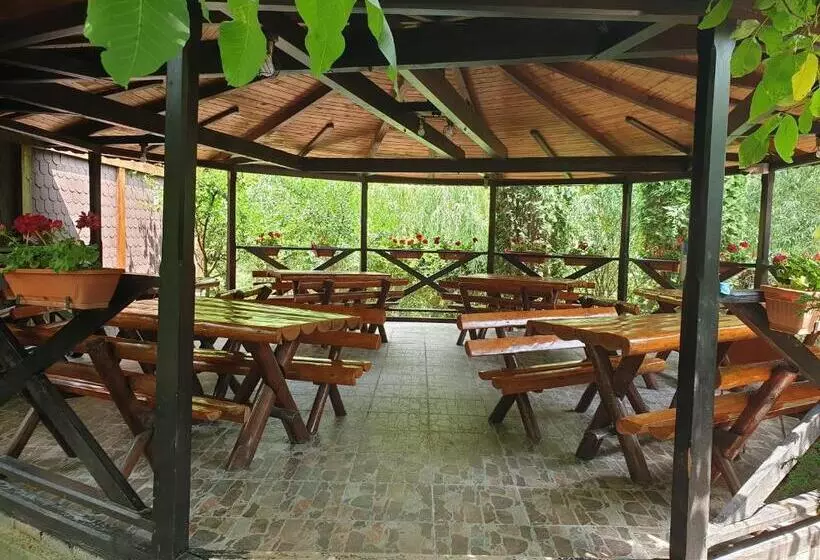 پانسیون Daiana Residence Cabane