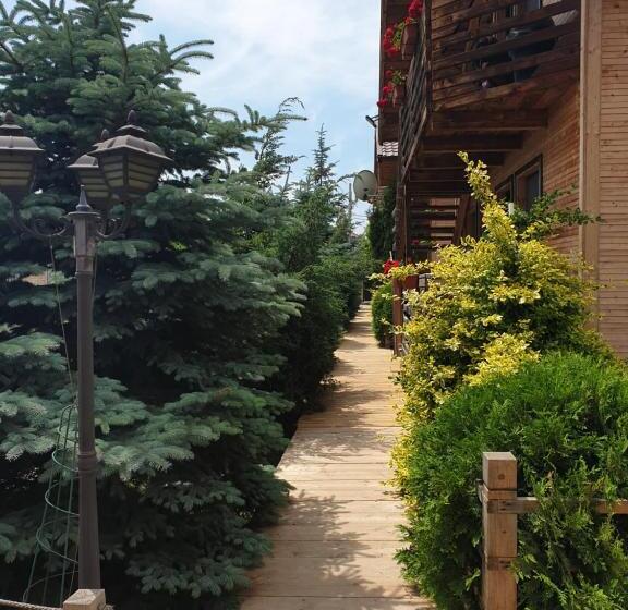 Пансион Daiana Residence Cabane