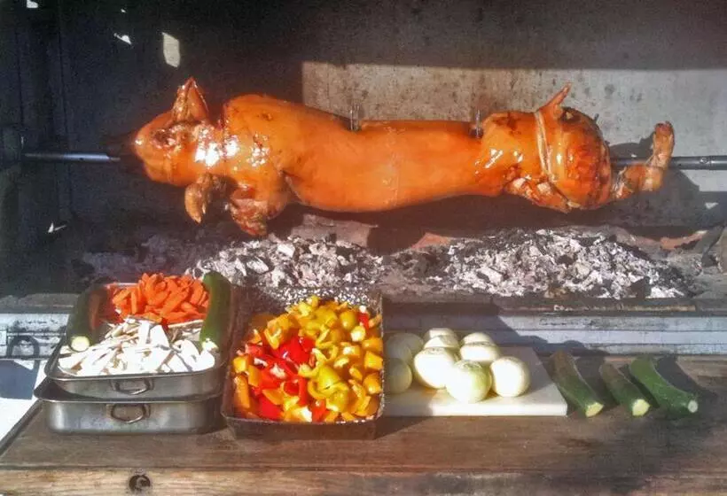 Amstel Hattyú Panzió  érintésmentes Bejelentkezés