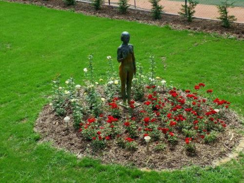 Amstel Hattyú Panzió  érintésmentes Bejelentkezés
