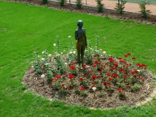 Amstel Hattyú Panzió  érintésmentes Bejelentkezés