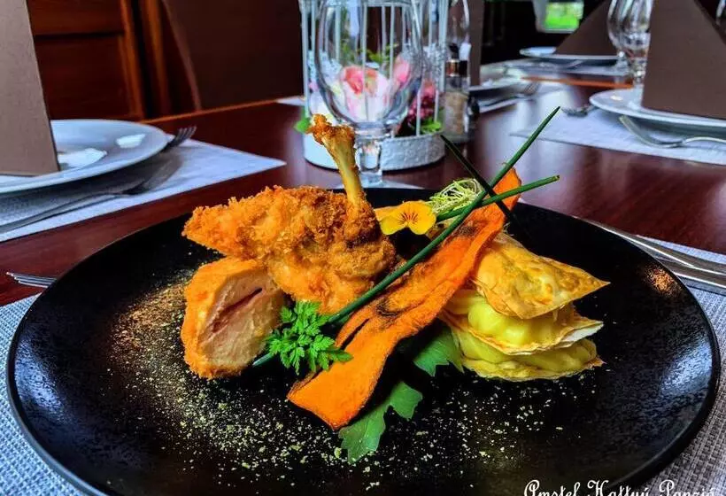 Amstel Hattyú Panzió  érintésmentes Bejelentkezés