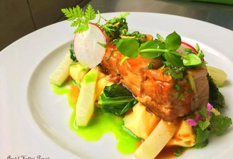 Amstel Hattyú Panzió  érintésmentes Bejelentkezés