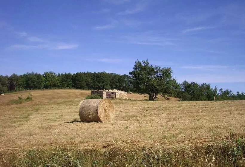 Hotel Az Agrituristica Bio Le Macchie Alte