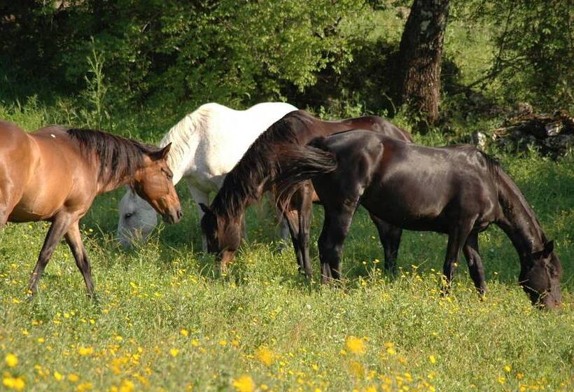 فندق Az Agrituristica Bio Le Macchie Alte