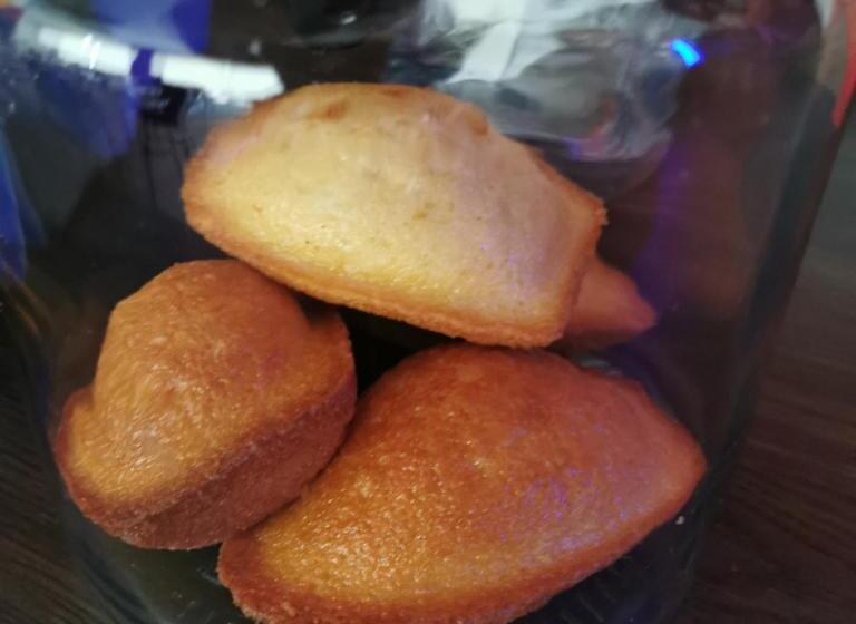 هتل Hôtel Port Haliguen