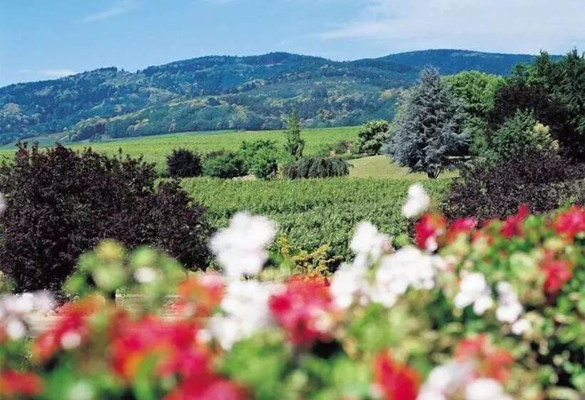 בית מלון כפרי Le Menestrel