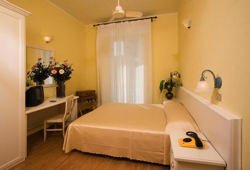 בית מלון כפרי Plaza