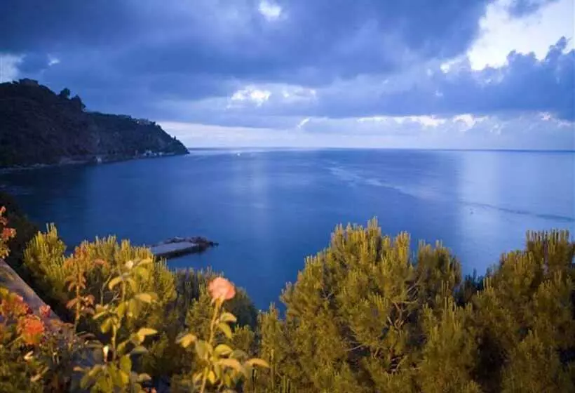 هتل Riviera Lido