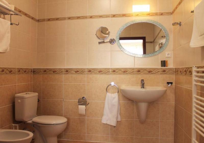 בית מלון כפרי Teplice Plaza