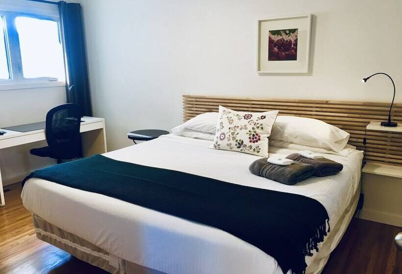 בית מלון כפרי The Inn On College