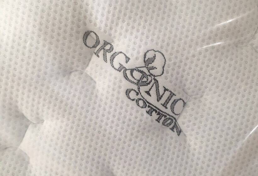 בית מלון כפרי The Inn On College