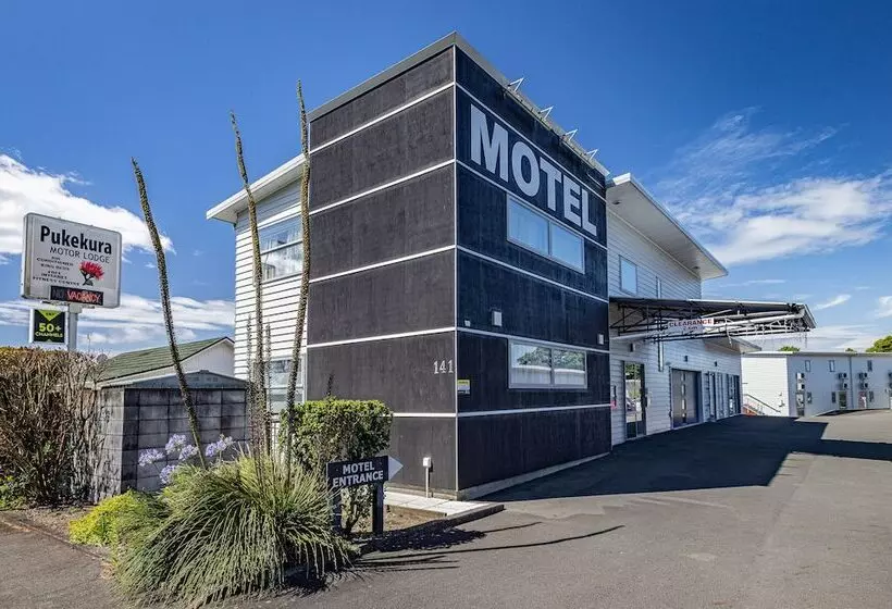 Мотель Pukekura Motor Lodge
