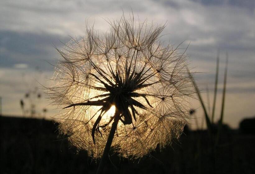 Tornácos Hotel   Hegykő