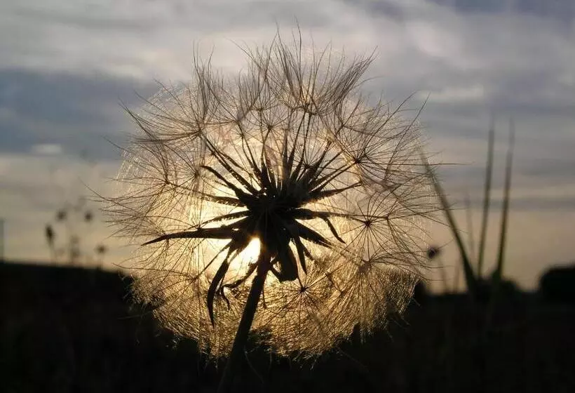 Tornácos Hotel   Hegykő
