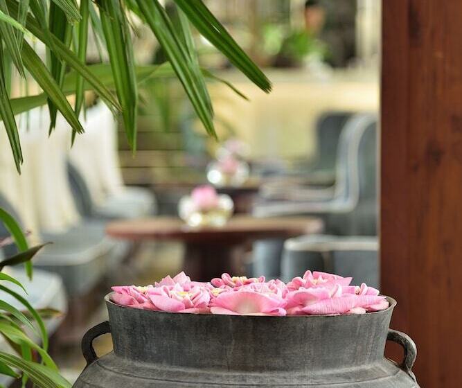 فندق Shintana Saya La Maison