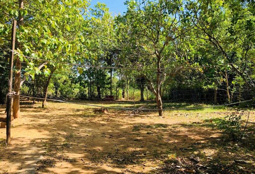 Dambulla City Hostel