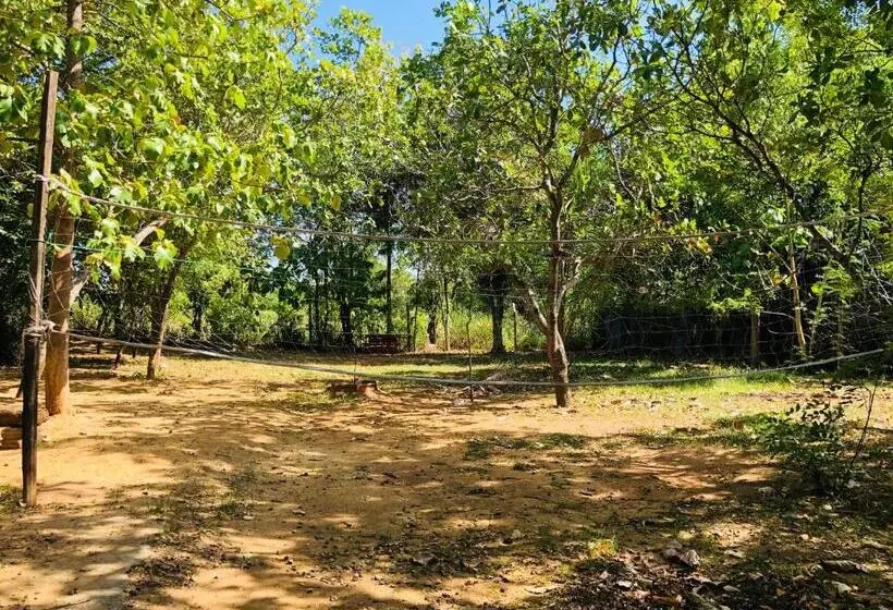 Dambulla City Hostel