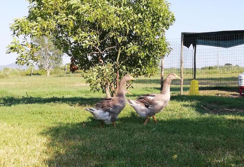 酒店 Agriturismo Le Folaghe