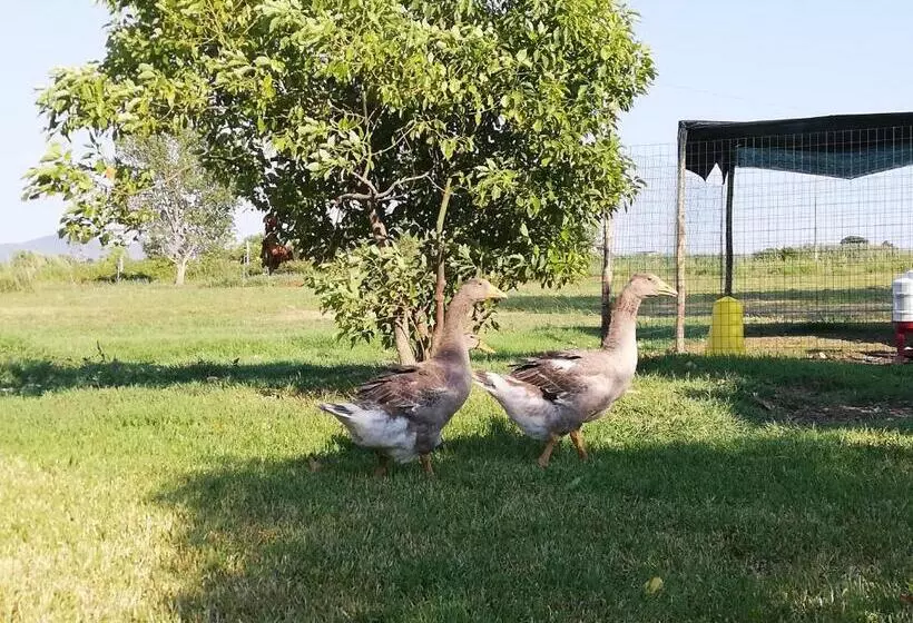 ホテル Agriturismo Le Folaghe