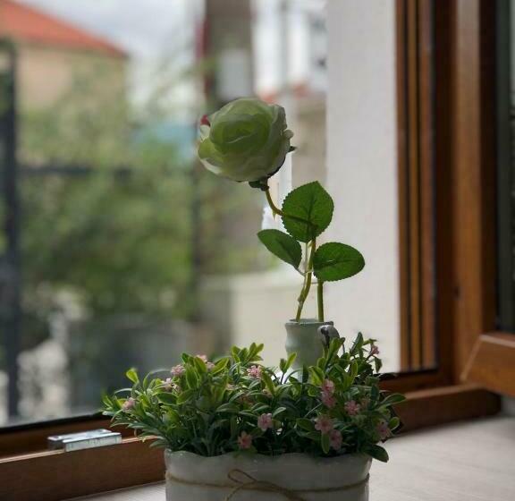 پانسیون Studio Apartment In Old Town With Parking