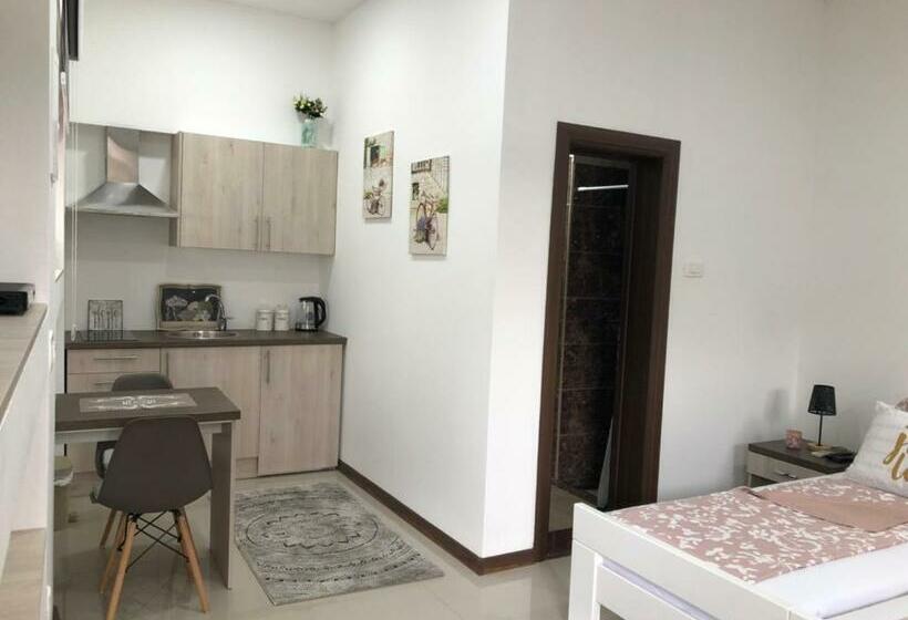 پانسیون Studio Apartment In Old Town With Parking