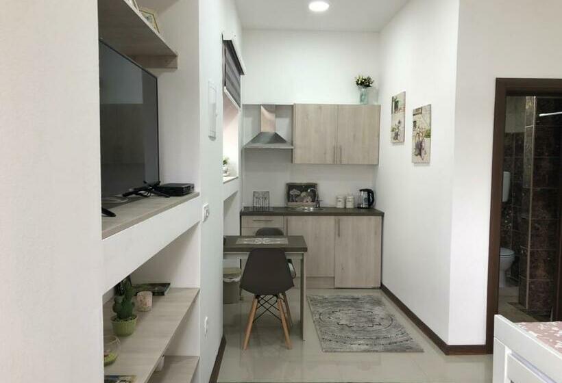 پانسیون Studio Apartment In Old Town With Parking