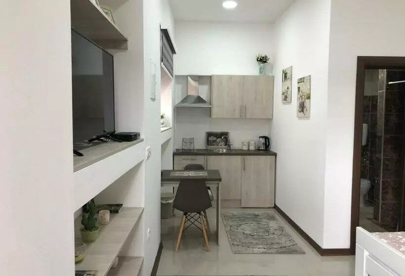 پانسیون Studio Apartment In Old Town With Parking